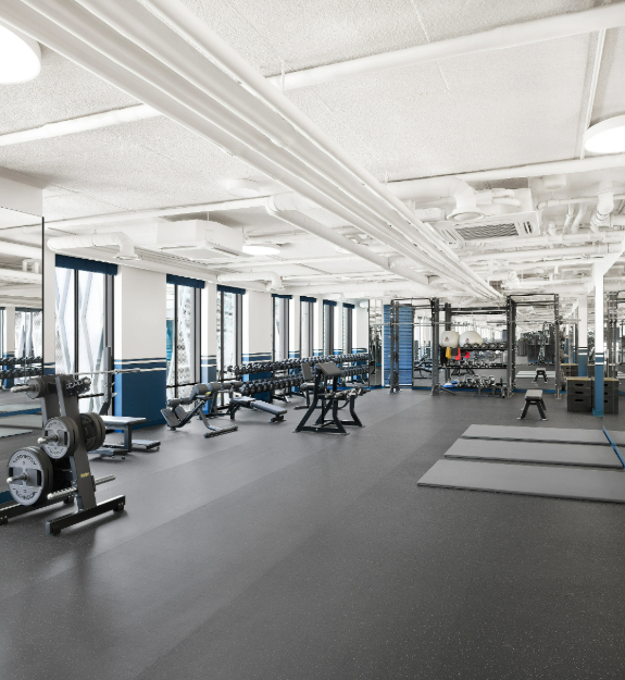 GYM