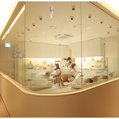 개방형 신생아실 운영